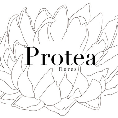 Protea Flores