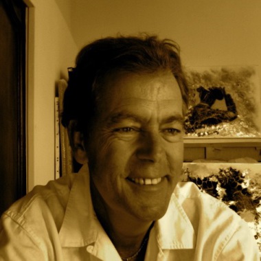 Artiste Peintre Professionnel