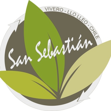 Vivero San Sebastian Llo-Lleo