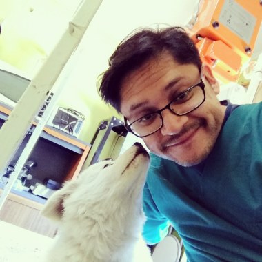Servicios Veterinarios
