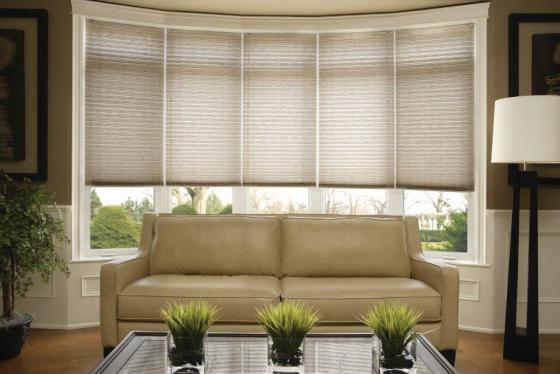 cellular shades