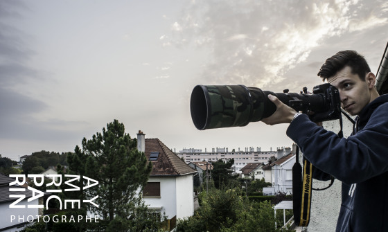 M2P Photographe 