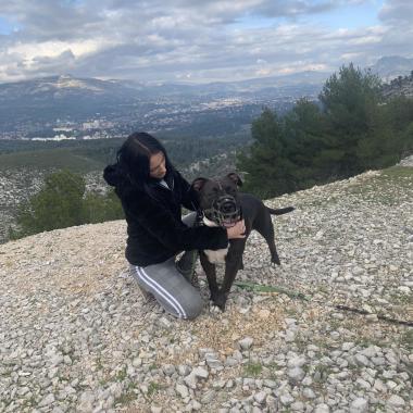 Dog’S Passion 13