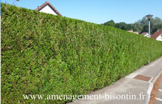 Entretien de jardin 