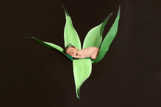 Newborn
