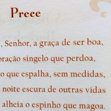 Sonia Queiroz