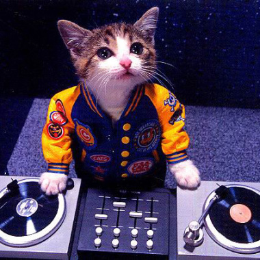 Dj Vossa