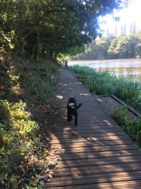Beautiful early morning walk 