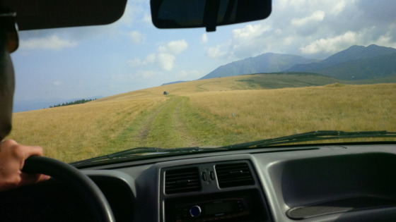 Tour sui monti  Rodnei, Carpazzi