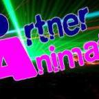 Partner Animation Feux D'Artifices