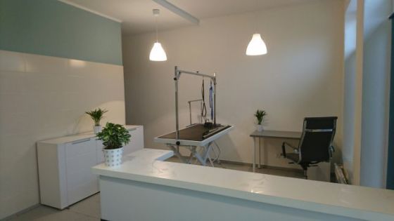 salon