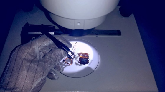 Examining heads under microscope