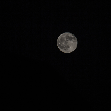L. Saloña Fotografía