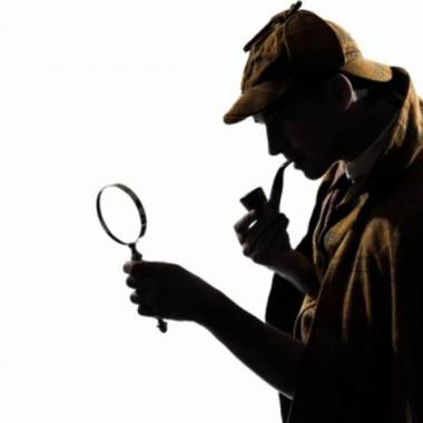 Detectiv Particular