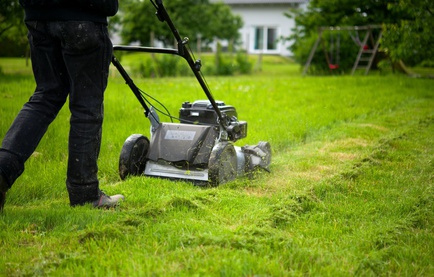 Spécialiste du jardinage