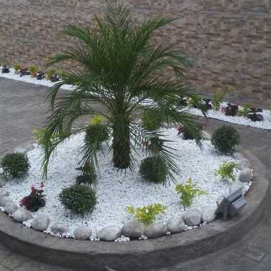 Jardineria Limpieza Buenavista