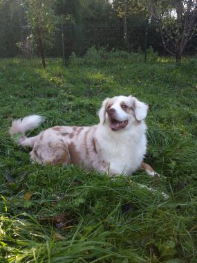 Danka en repos :)