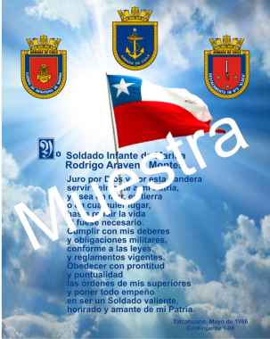 galvano juramento  a la bandera.JPG