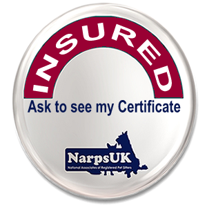 Fully Insured