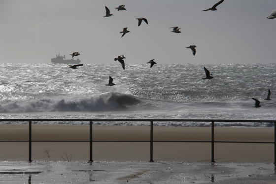 Praia de Carcavelos - Dezembro de 2017. Estado de Alma.