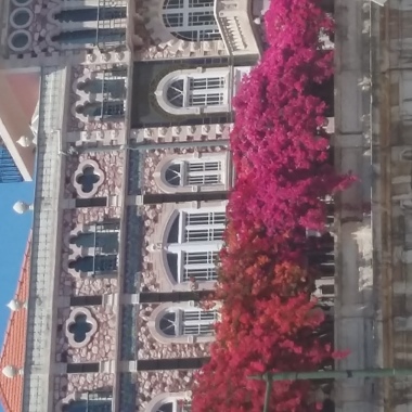Rosangela