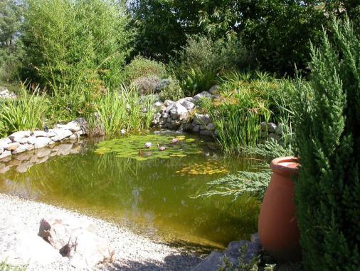 Florent Garden