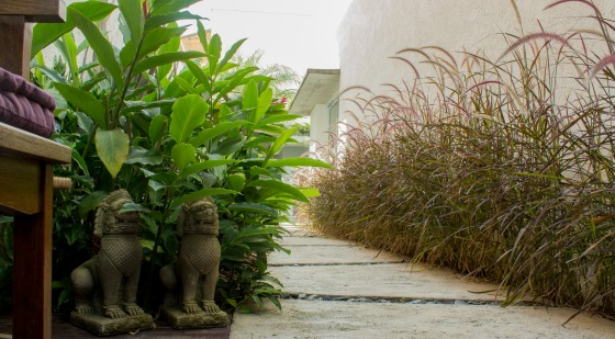 Projeto Paisagismo aliado ao Feng Shui