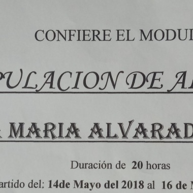 Servicios Domésticos Y En Empresas