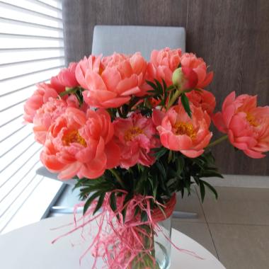 Flor De Lys