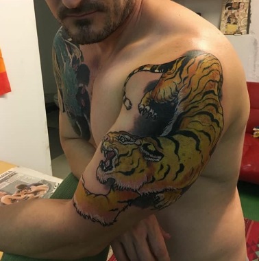 Tigre cover