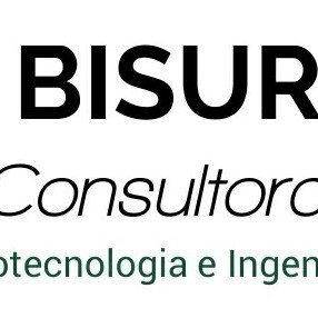 Bisur Consultora De Ingeniería Y Construcción