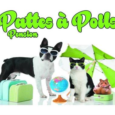 Pattes À Poils
