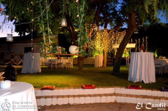 Boda Tipo Cocktail