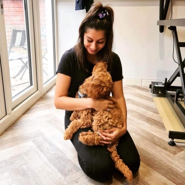Cloud K9 Professional Grooming