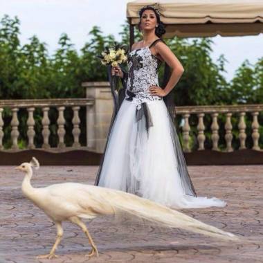 Boda Anna