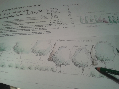 Estudio de vegetación para arbolado en vía pública.2014