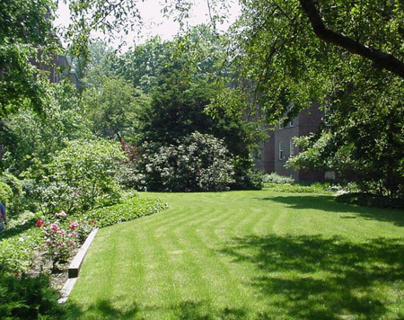 Entretien  de jardin   betton