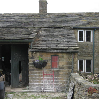 Wilton Design
