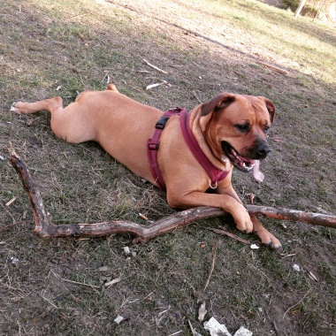 kady au parc