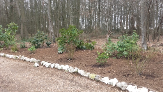 20170214_111517.jpg