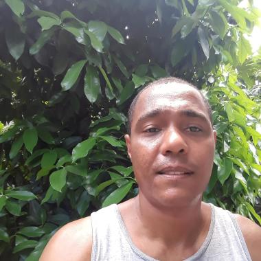 Jardineiro É Podador Autônomo