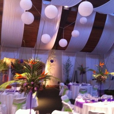 Herranz Producciones &  Toboland Eventos