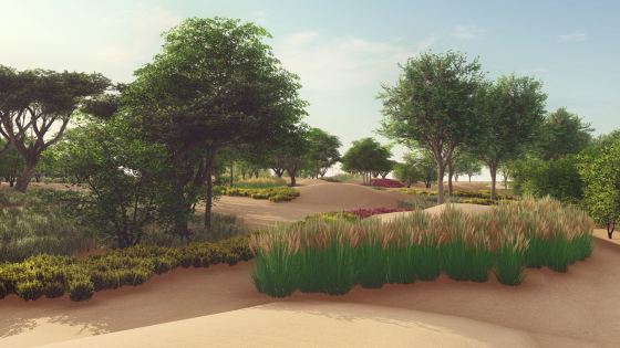 Sand mitigation at QATAR
