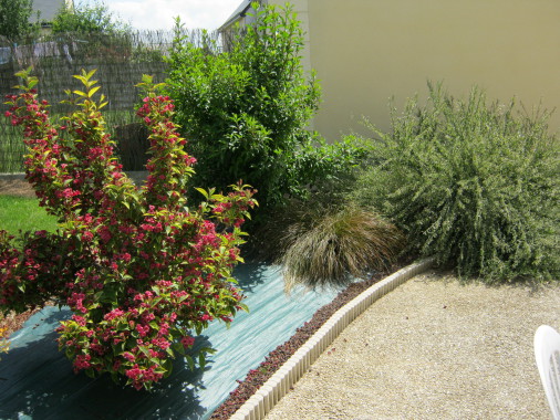 aménagement floral sur toile