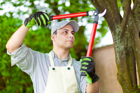 Mantenimiento de Jardines
