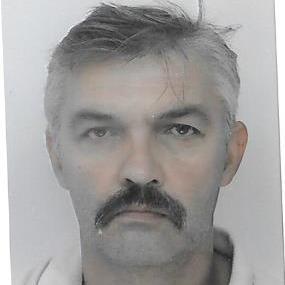 Bartos David Dusan