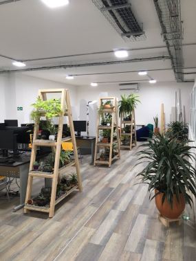 Diseño de Oficina #CoWorking