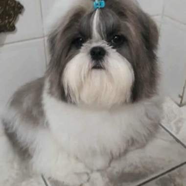 Bordadeira