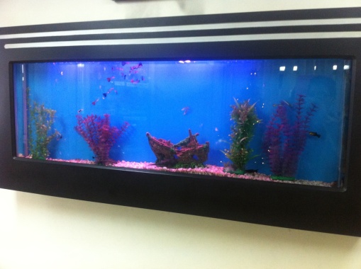 Acuario sobre puesto en la pared tipo plasma
