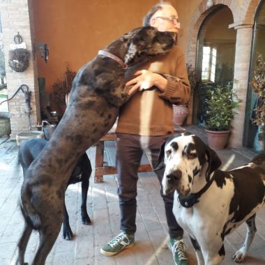 Marco Vattuone